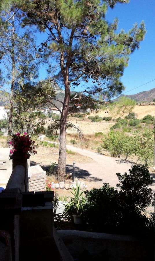 Casa Vacanza Il Mandorlo Domusnovas Bagian luar foto
